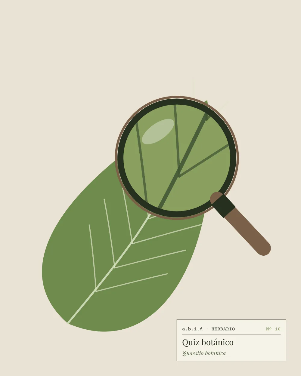 Ilustración de una lupa sobre una hoja