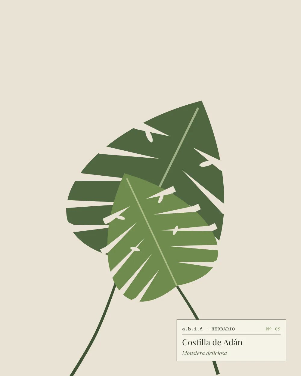 Ilustración de una hoja de monstera