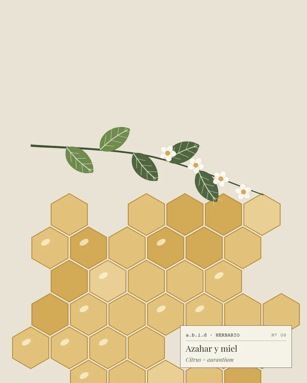 Ilustración de un panal con flores de azahar