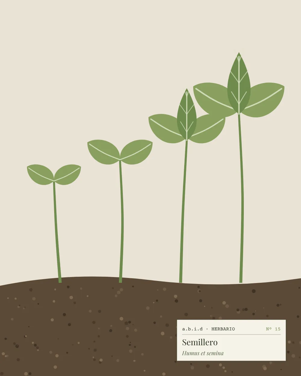 Ilustración de plántulas creciendo en la tierra